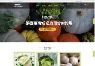 霞浦营销网站